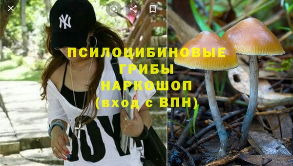 крисы Алексеевка