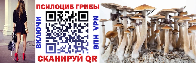 Галлюциногенные грибы Psilocybe  blacksprut как войти  Ясный 